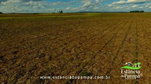 DOS EÓLICOS VIRA P FAZENDA_Moment.00_00_32_16.Quadro166_bd55ef4fde5b7e82aa641db60d55957ffea188d0.jpg